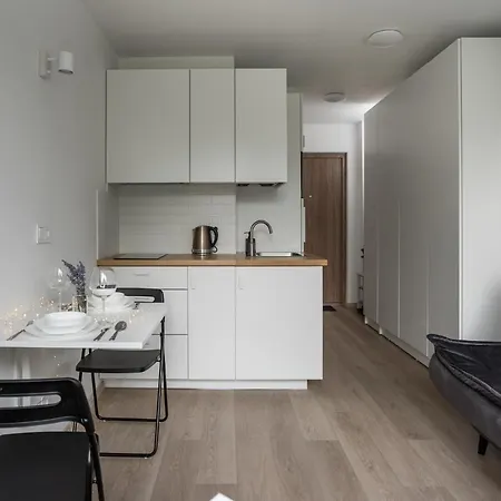 Nordic Studio 139 In Prime Vilnius Location Esterno foto
